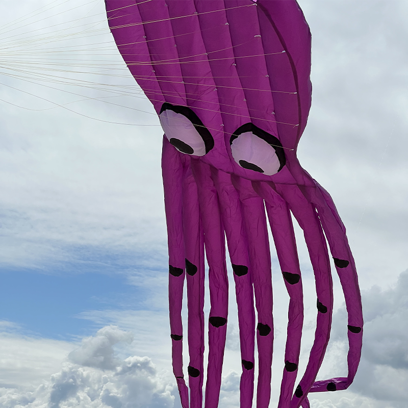 3D lila polip delta sárkány 8m hosszú farokkal