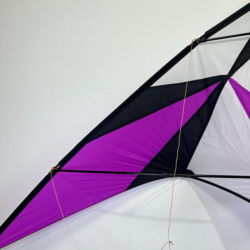 Dvojšnúrový športový šarkan ružový delta