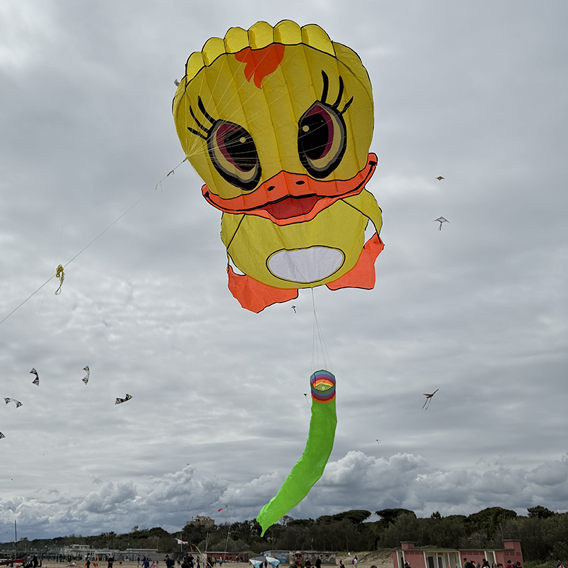 Sárkány 3D kacsa élénk sárga parafoil