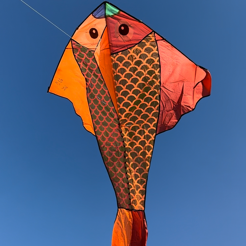 Šarkan tvar ryby s trblietkami