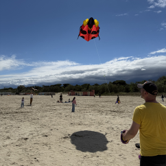 Piros delta sárkány katica mintával Piros delta sárkány katica mintával