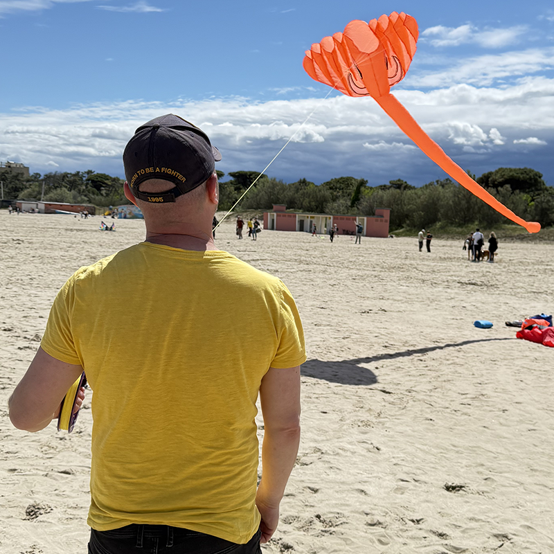 Šarkan diamant Slon oranžový 3D