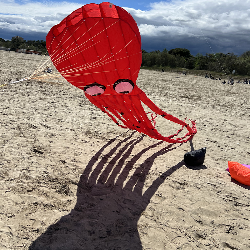 Octopus Red 8m