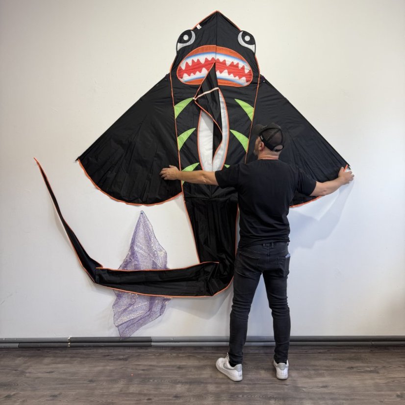 Drak Létající ryba