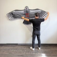 Drak Jestřáb - černý