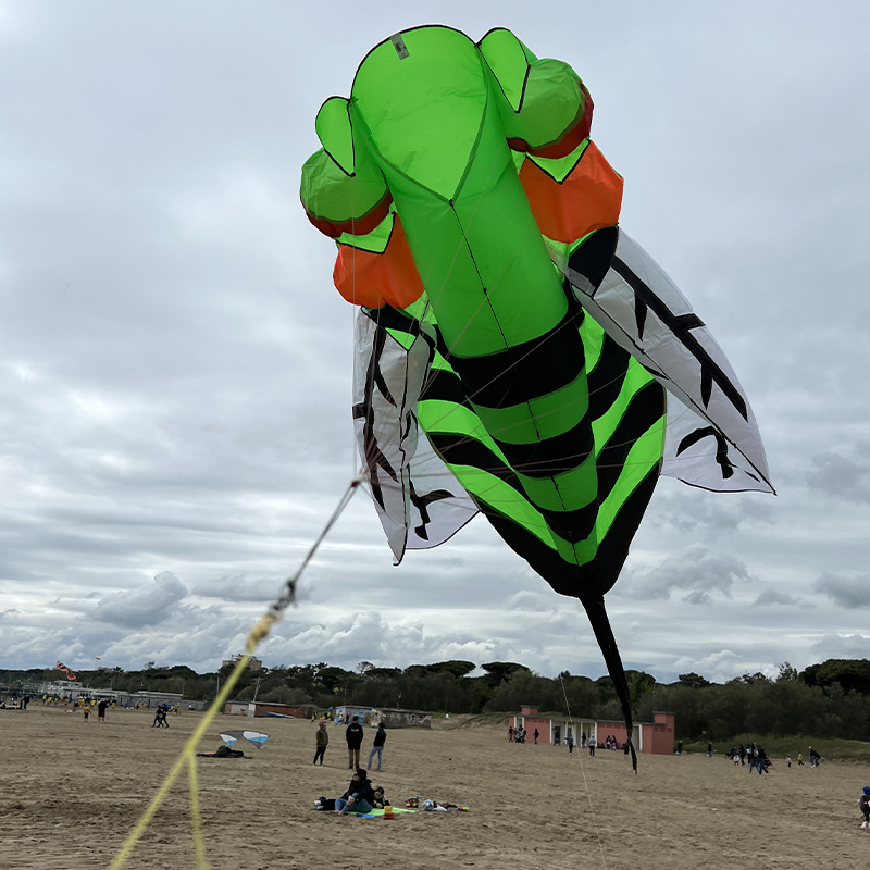 Šarkan 3D zelená včela delta tvar