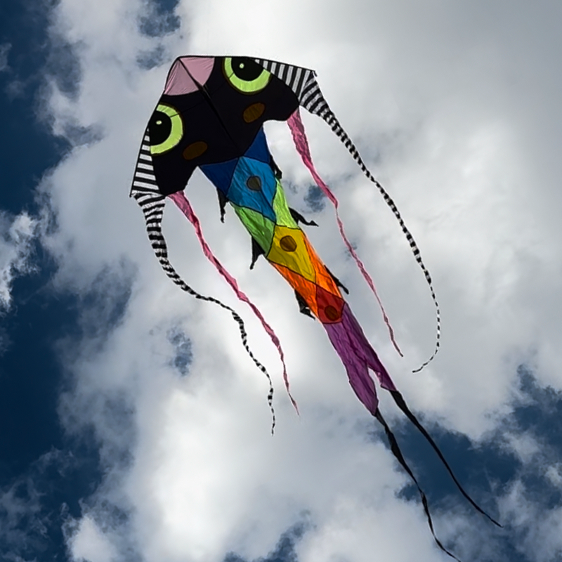 Šarkan Húsenica XL veľký červený parafoil