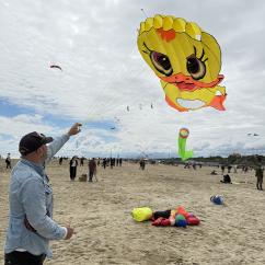 3D kacsa deltarepülő színes szárnnyal