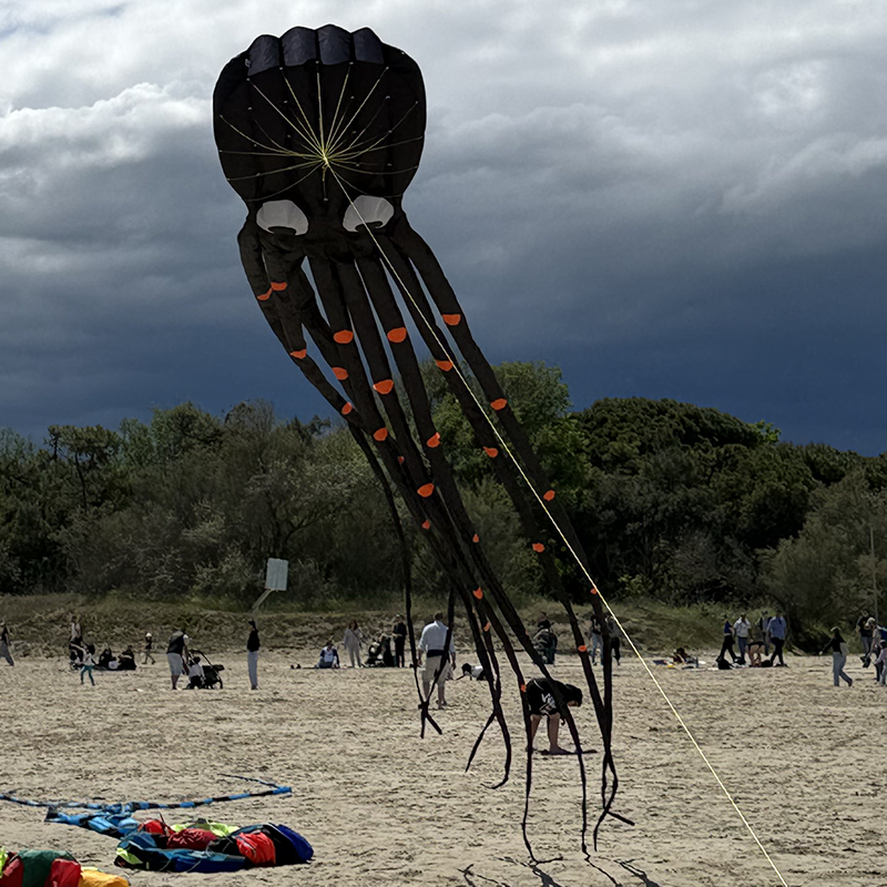 3D černý šarkan chobotnice s ocasem