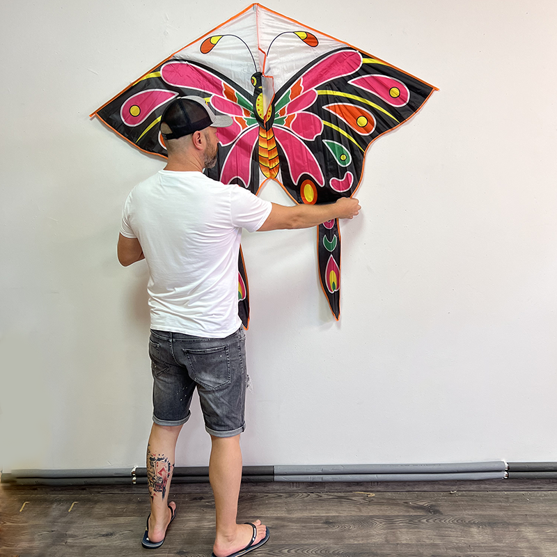 Šarkan delta farebný motýľ s chvostem