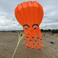 Octopus Orange 8m