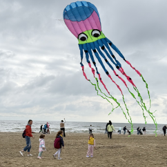 Octopus 8m cmz