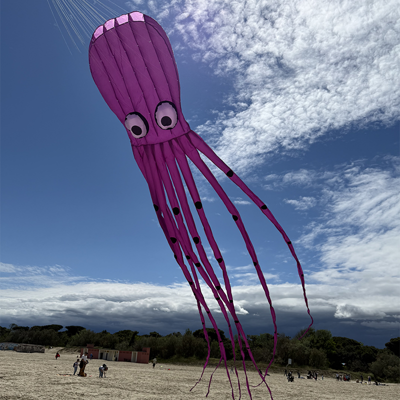 Octopus Purple 8m