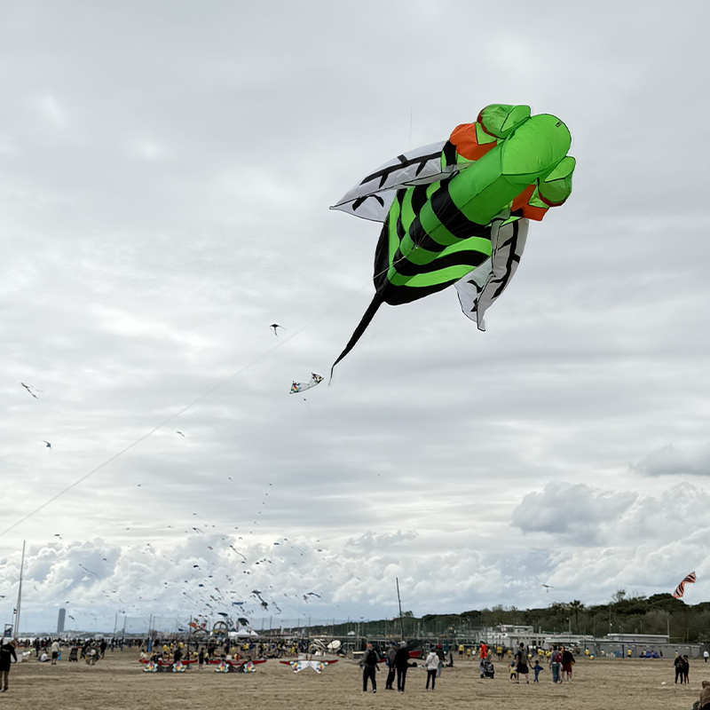 3D šarkan zelená včela delta tvar