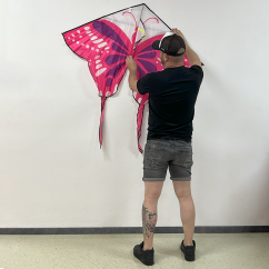 Šarkan motýľ delta ružový s chvostem Šarkan motýľ delta ružový s chvostem