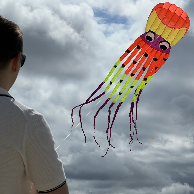 3D polip parafoil neon sárkány 8m
