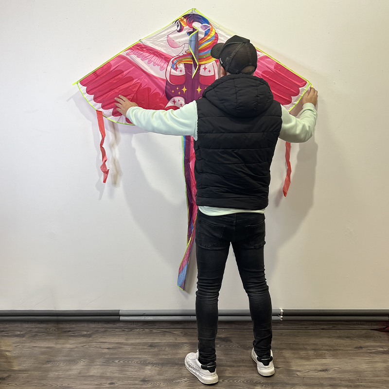 Šarkan delta dúhový jednorožec M