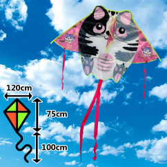 Rózsaszín gyémánt sárkány macskával