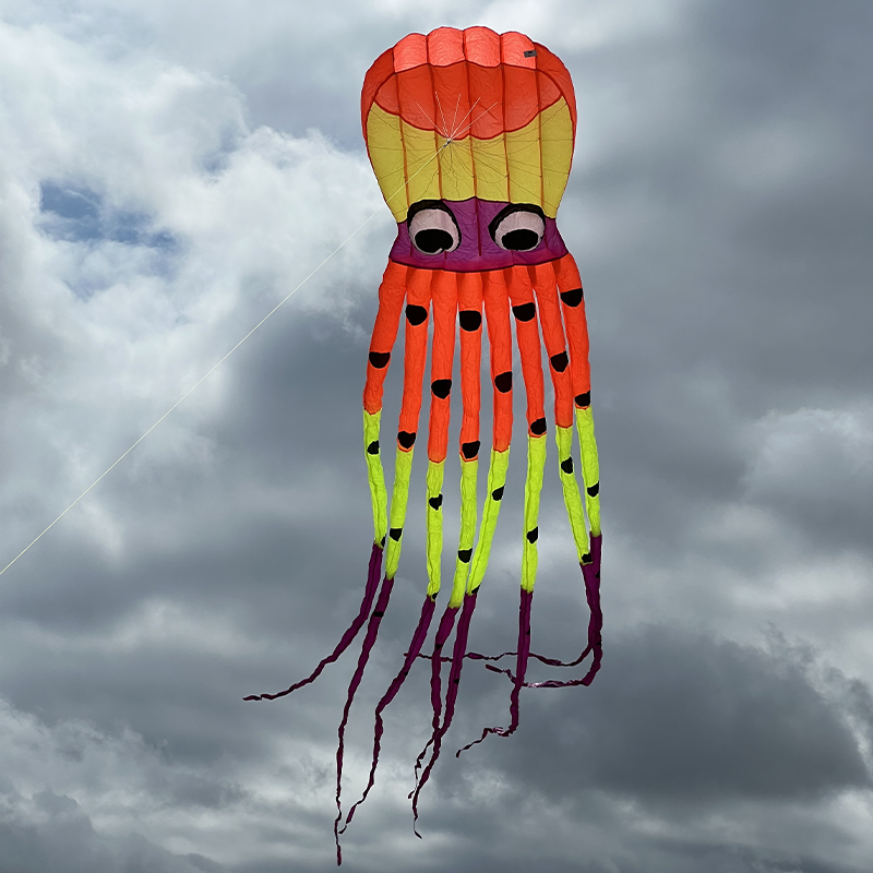 3D polip parafoil neon 8 méter