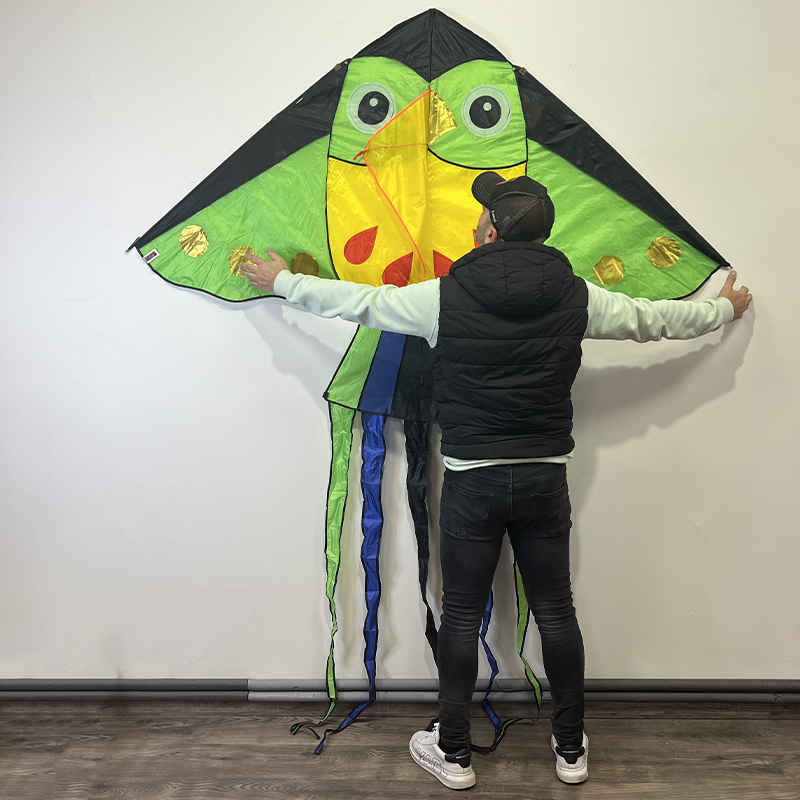 Szalag jellegű színes bagoly sárkány