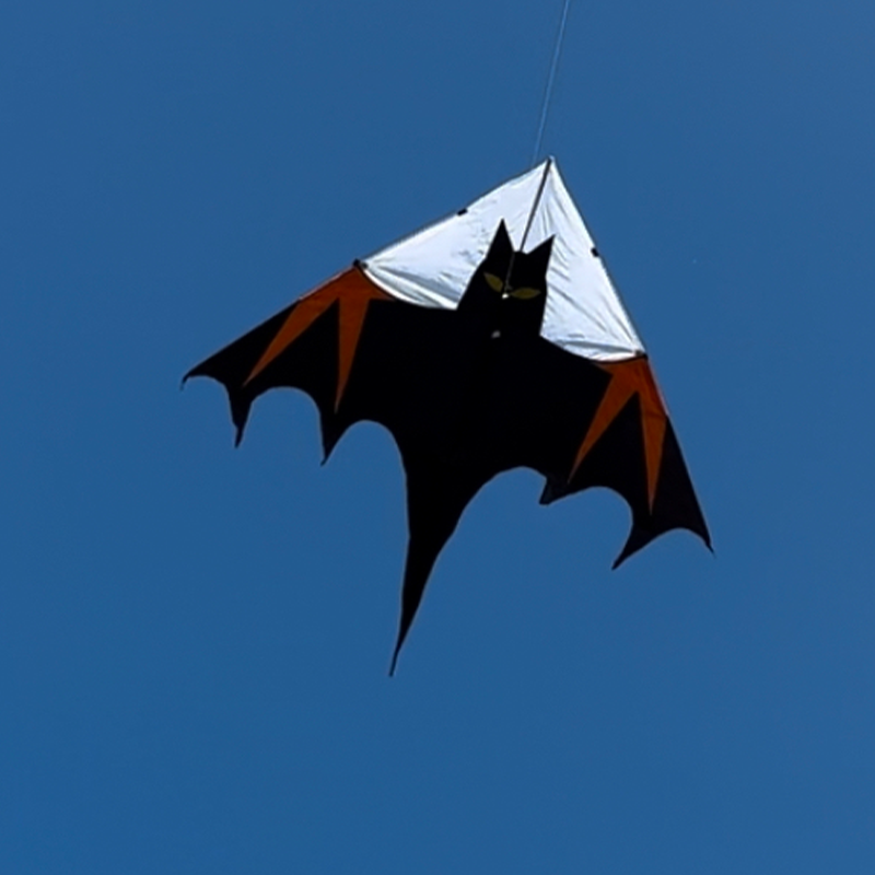 Delta šarkan Batman černý se žlutým vzorem