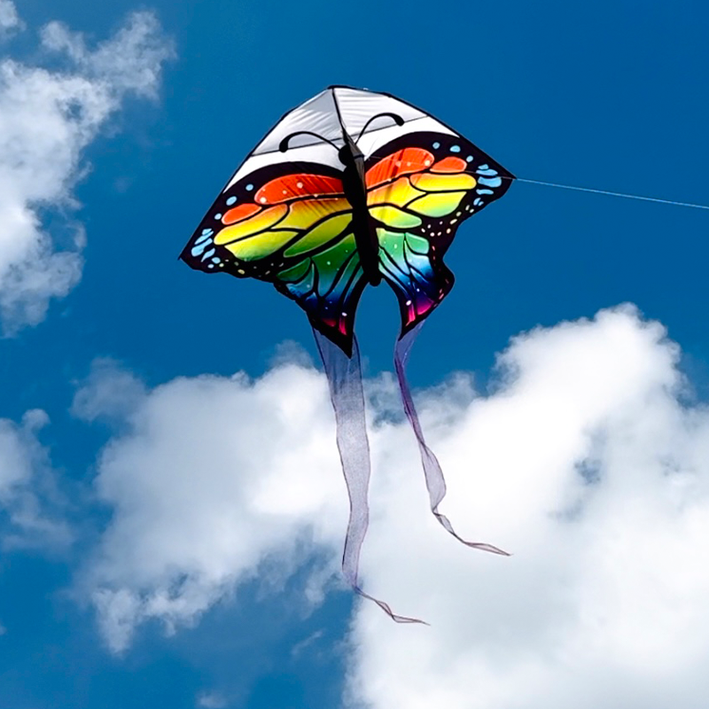 Farebný delta šarkan motýľ XXL