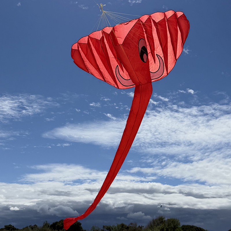 3D Elefant Red