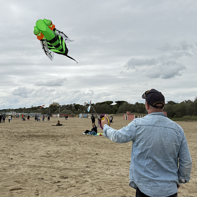 Delta sárkány zöld méh mintával