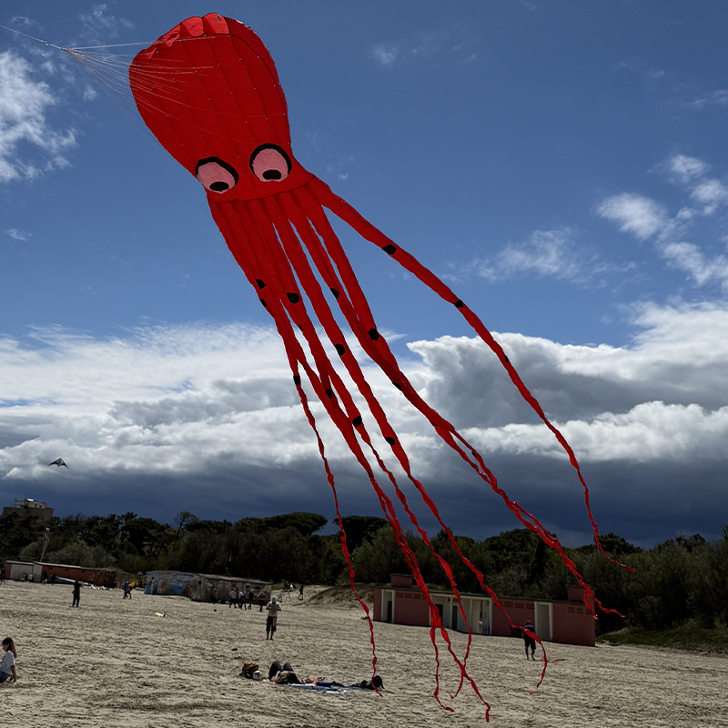 Octopus Red 8m