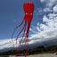 Octopus Red 8m