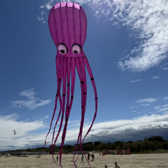 Octopus Purple 8m