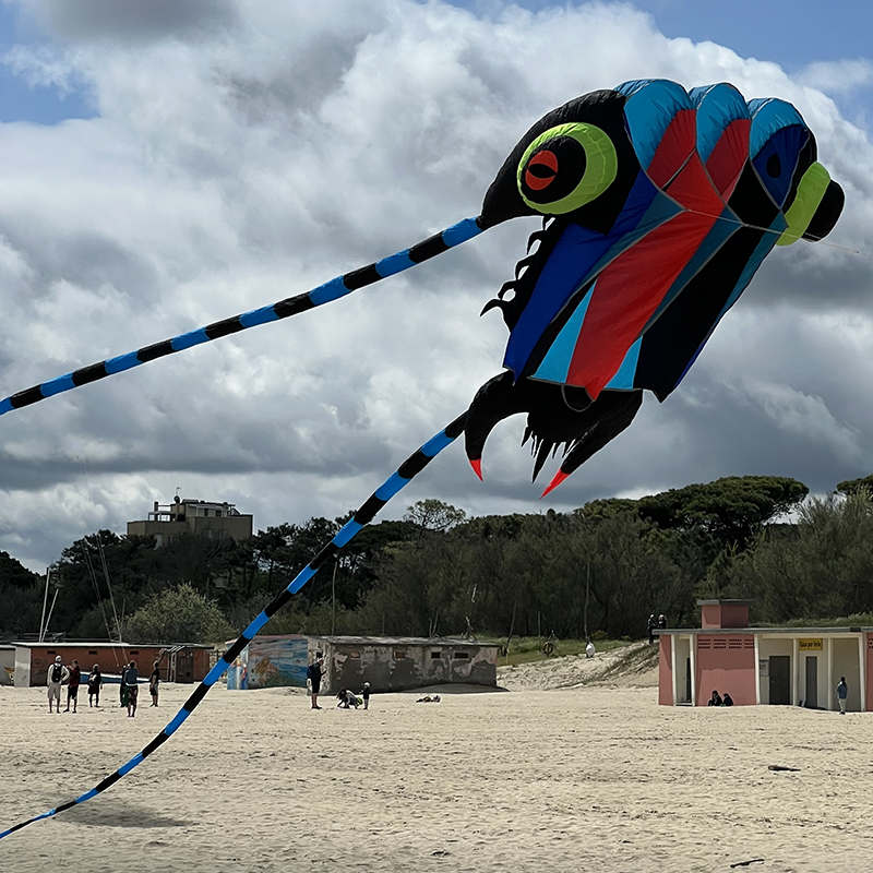 Sárkány – 3D Trilobita – 7 m²