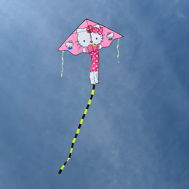 Šarkan mačiatko delta farebný chvost