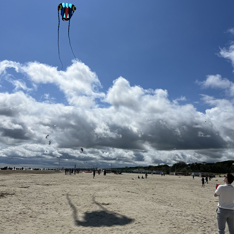 Sárkány – 3D Trilobita – 7 m²