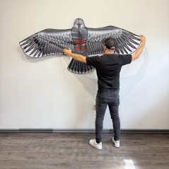 Sárkány – fekete héja