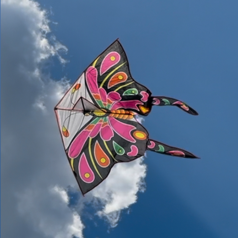 Šarkan delta motýl farebný s chvostem