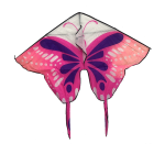Draci