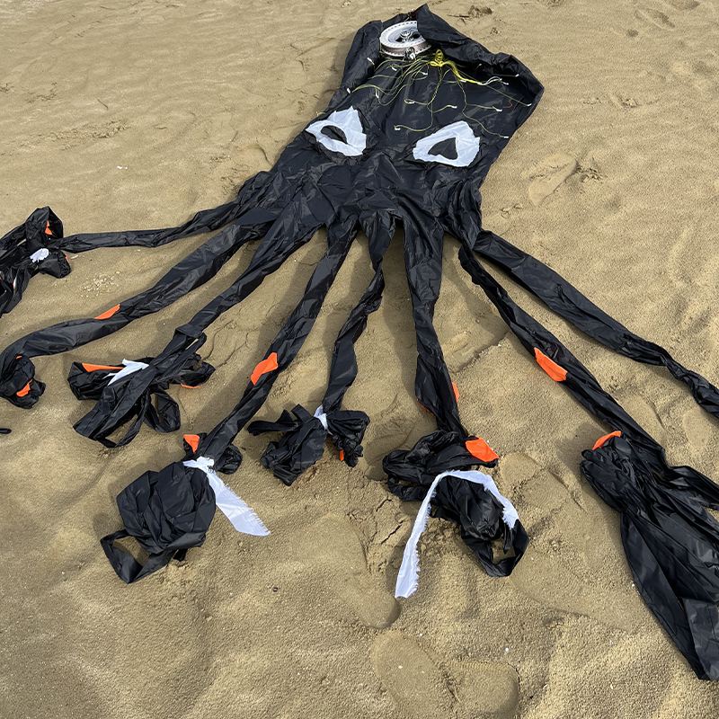 3D šarkan chobotnice černý 8m parafoil