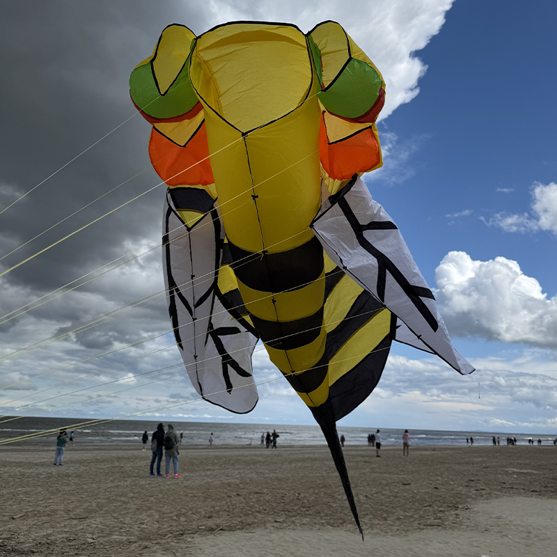 Šarkan 3D Včela delta jasné farby