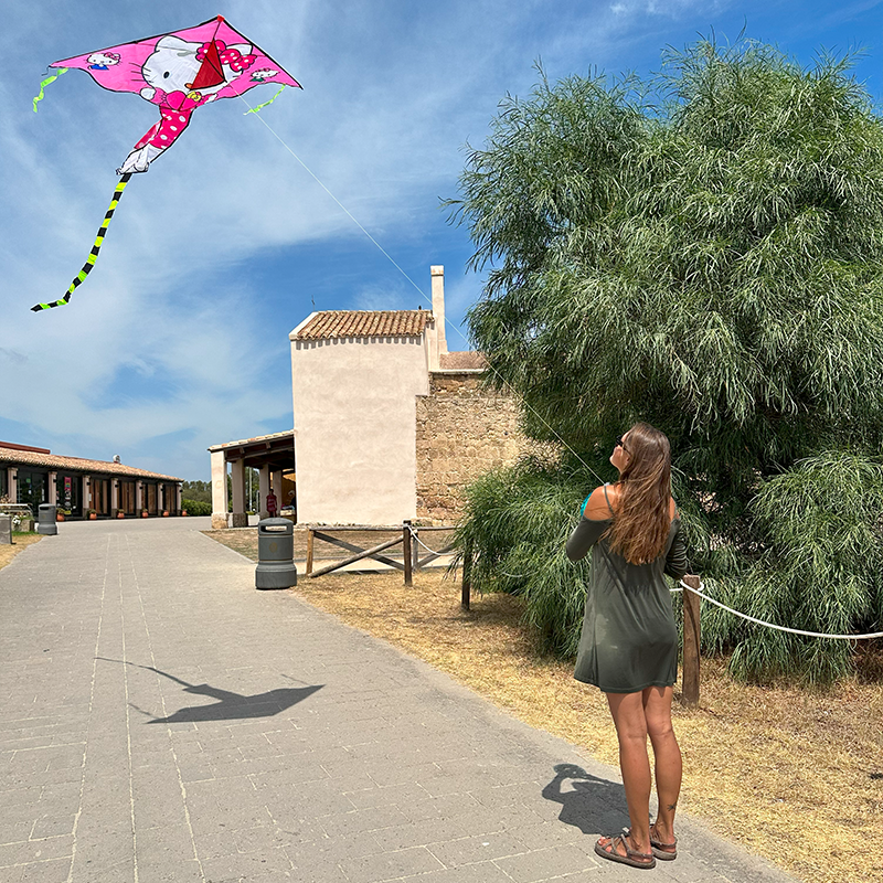 Šarkan delta mačiatko jasné farby