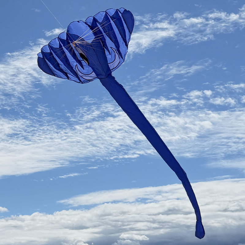 3D šarkan delta modrý slon