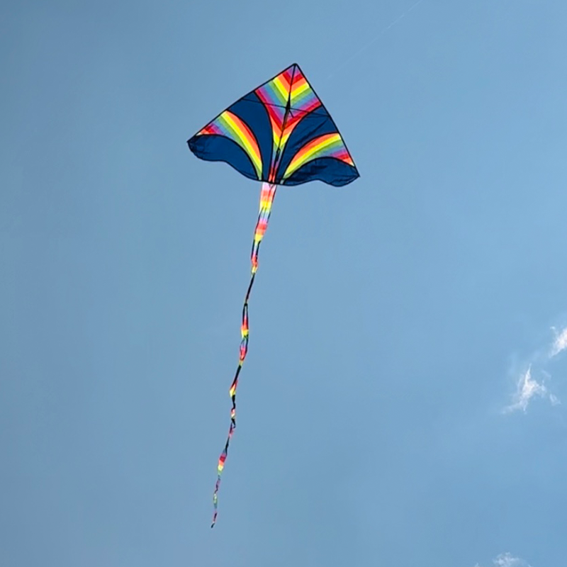 Modrý delta šarkan Rogalo s chvostom