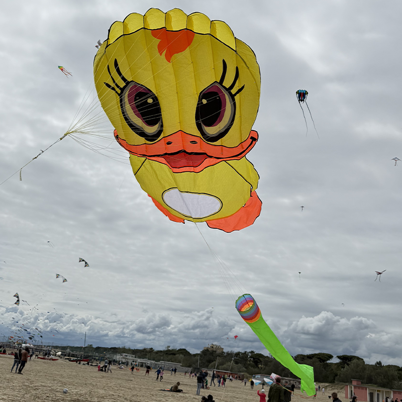 3D kacsás delta sárkány színes