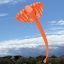 3D Elefant Orange