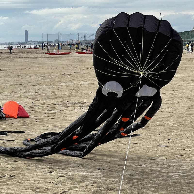 3D kites černá chobotnice 8 metrů