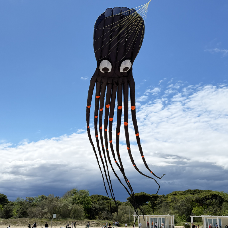 Octopus Black 8m