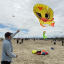 3D kacsa deltarepülő színes szárnnyal
