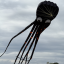 Octopus Black 8m