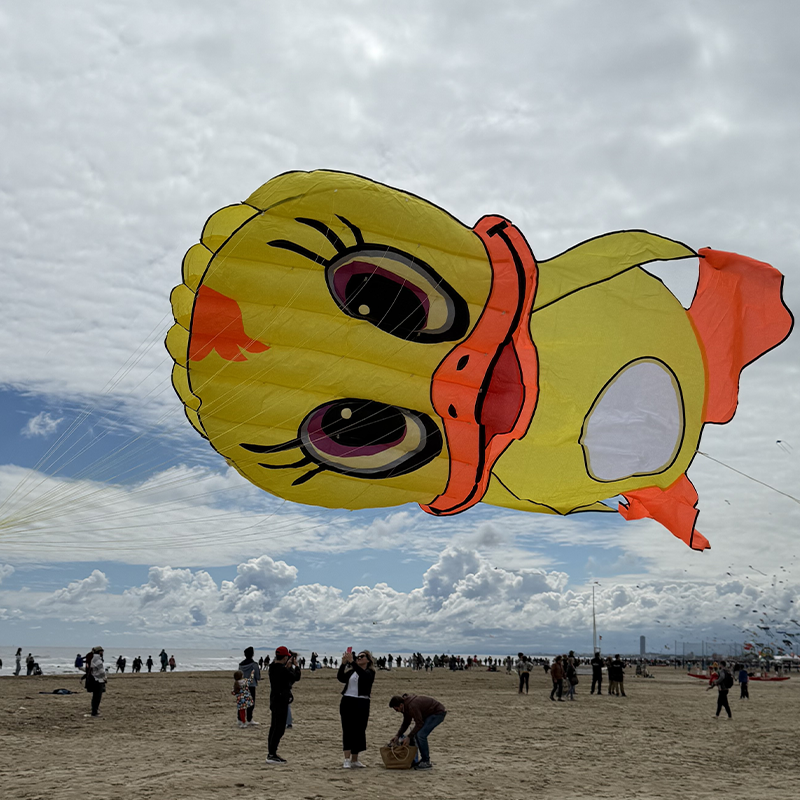 Színes 3D kacsa delta sárkány