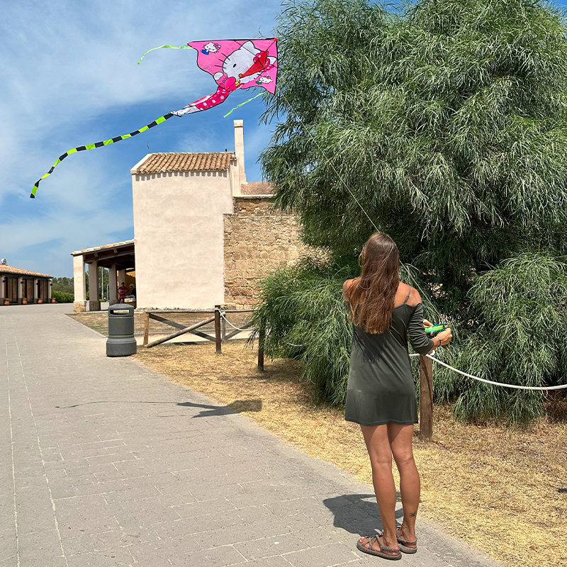 Šarkan delta mačiatko farebný vzor